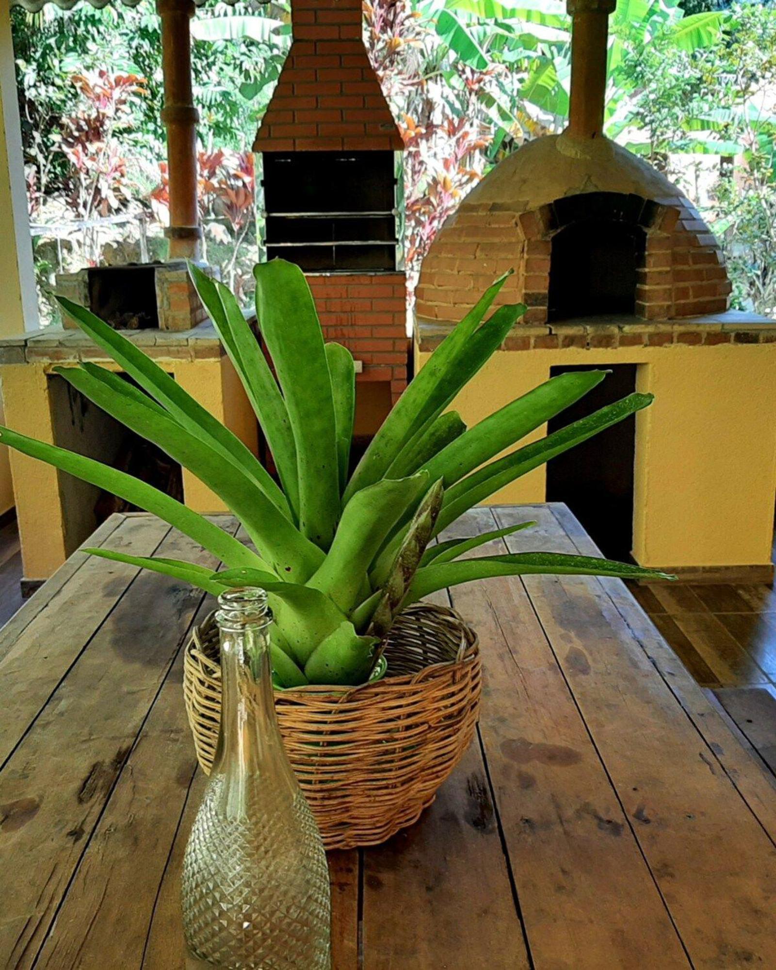 Casa Da Ilha Paraty Entre A Mata Atlantica E O Mar 빌라 외부 사진